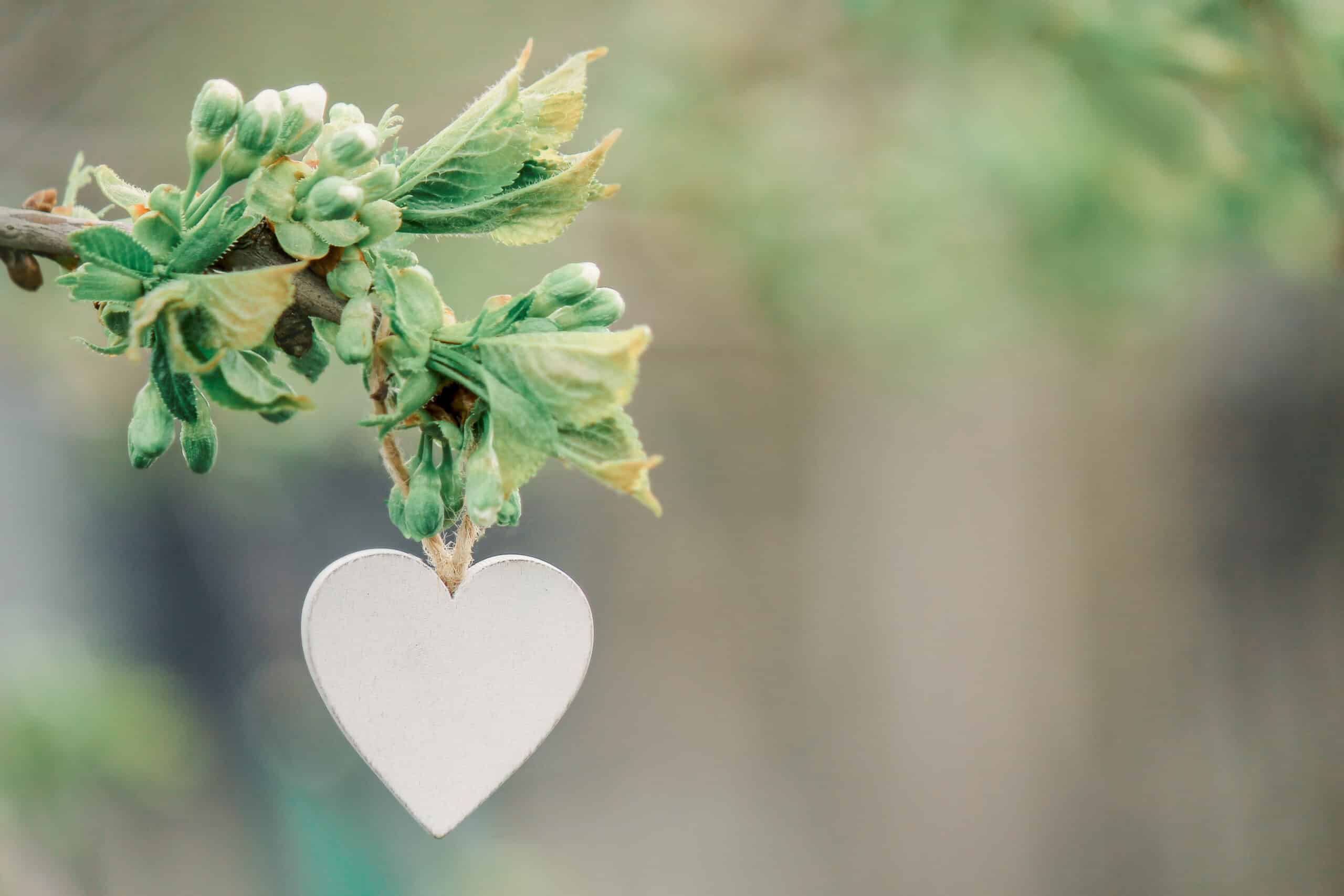 concept romantic day love nature scaled