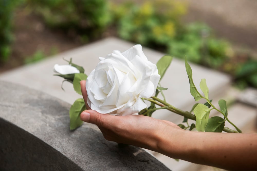 friedhof weisse rose